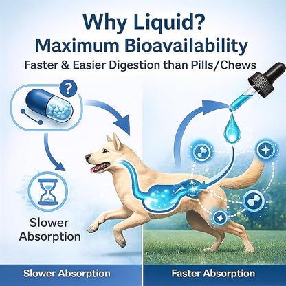 Premium Liquid Collagen for Dogs - Skin & Coat Supplement with Hyaluronic Acid & Biotin, Supports Joint Health, Mobility & Hydration for All Dogs, Bacon Flavor - 2 fl oz (3)