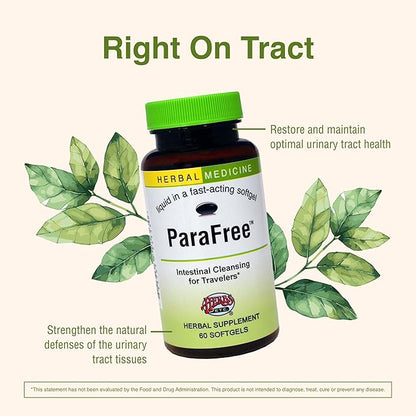 Herbs Etc. CranBladder ReLeaf Softgels - Bladder Health Support - Natural Supplement Formula to Aid Urinary Health & Comfort - Optimal Urinary Support with Cranberry - 60 Softgels (60 Servings)