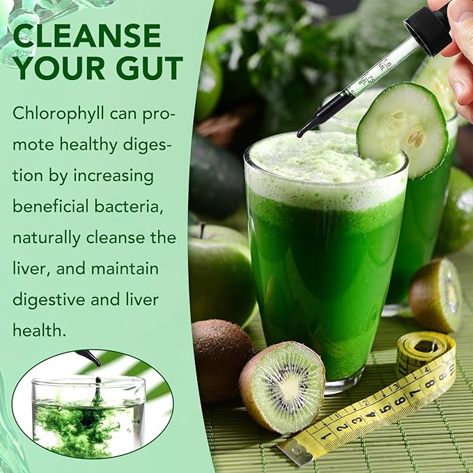 Chlorophyll Liquid Drops, Organic Liquid Chlorophyll Body Deodorizing, Supports for Odor Balance, Natural Body Freshness, Body Odor Control, Fresh Breath, 60ml 2Bottle.