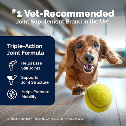 YuMOVE Hip & Joint Supplement for Dogs - with Glucosamine Chondroiton, Green Lipped Mussel, Hyaluronic Acid, and Omega 3 Joint Supplement for Stiffness and Mobility - 60 Chews (Small/Medium Dogs)