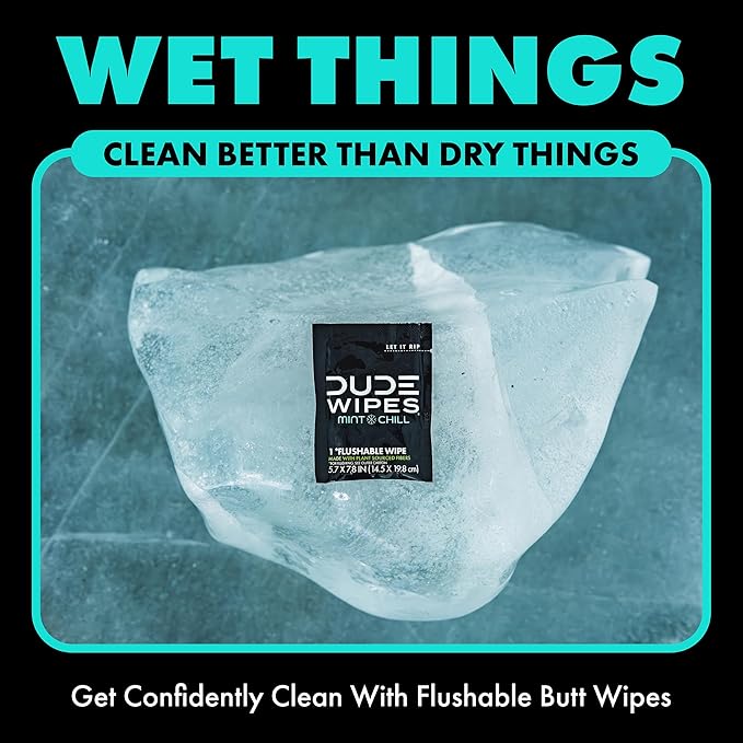 DUDE Wipes On-The-Go Mint Chill Travel Wipes - 2 Pack, 60 Count (Individually Wrapped) - Extra-Large Adult Flushable Wipes - Infused with Tea Tree Oil, Vitamin E, and Aloe - Septic and Sewer Safe