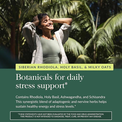 Gaia Herbs Adrenal Health Daily Support - Herbal Supplement with Ashwagandha, Holy Basil & Schisandra - Help Maintain Healthy Energy & Stress Levels* - 180 Vegan Liquid Phyto-Caps (90 Servings)