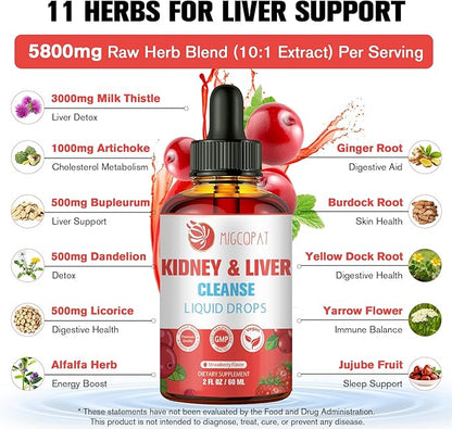 Kidney and Liver Cleanse Detox & Repair Drops - 2 Pack (60ml Each), Cranberry & Milk Thistle Supplement with Artichoke, Astragalus - Natural Herbal Support for Liver, Kidney & Urinary Tract Health