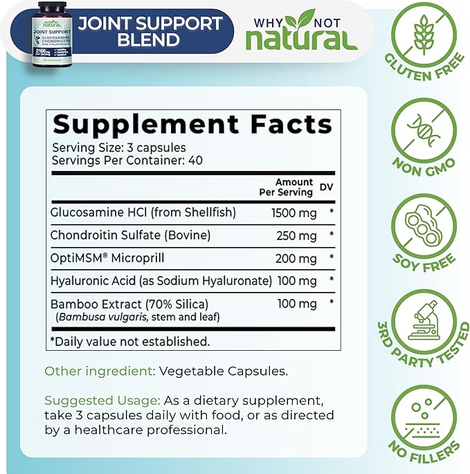 Why Not Natural Glucosamine Chondroitin, MSM, Joint Support Supplements - Knee Pain Joints Health Suppplement