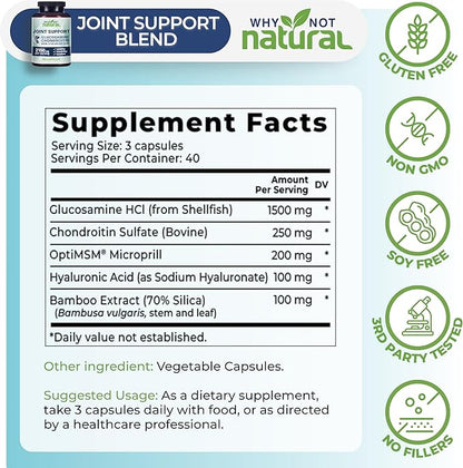 Why Not Natural Glucosamine Chondroitin, MSM, Joint Support Supplements - Knee Pain Joints Health Suppplement