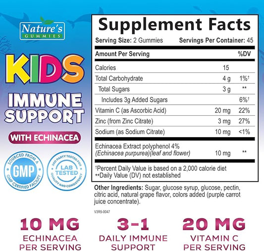 Kids Immune Support Supplement Gummies - Daily Childrens Vitamins C, Zinc & Echinacea - Gummy for Kids Immune Support, Ages 4 and Up, Natural Berry Flavor, Non-GMO, Gluten-Free & Vegan - 90 Gummies