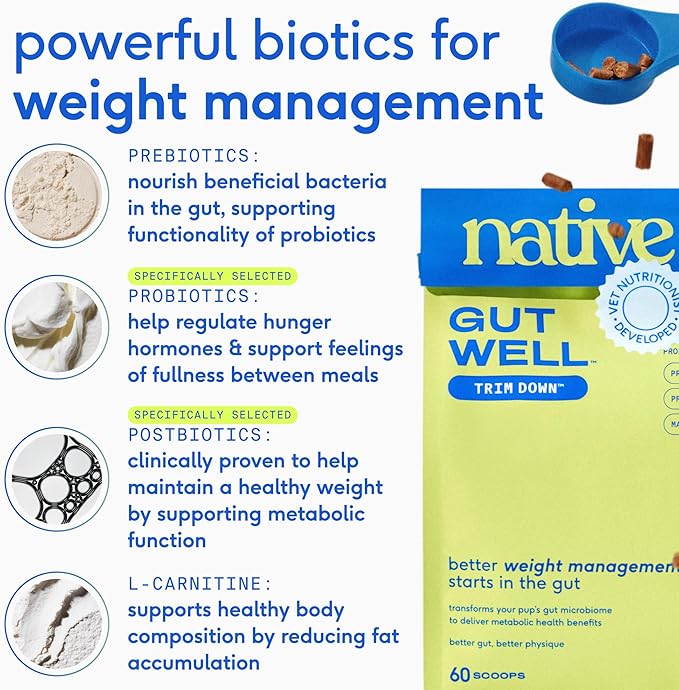 Native Pet GutWell Trim Down - Weight Management Dog Food Topper & Weight Loss Supplement Promotes Feelings of Fullness, Healthy Metabolism & Lean Muscles with Triple-Biotic & L-Carnitine - 60 Scoops