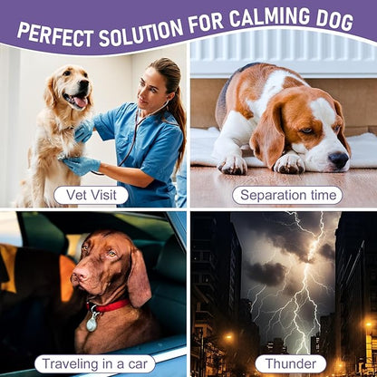 Valerian Root for Dogs, Valerian Root for Anxiety and Stress Relief in Dogs, Herbal Supplement to Help Support Calmness, Dog Sedative Calming Drops for Dogs, 2 fl oz