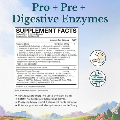 Vitalitown Probiotics 120 Billion CFUs | 36 Strains, with Prebiotics & Digestive Enzymes | Shelf Stable | Digestive Health & Immune Support | Vegan, Non-GMO | Pack of 1 | 60 Delayed Release Veg Caps