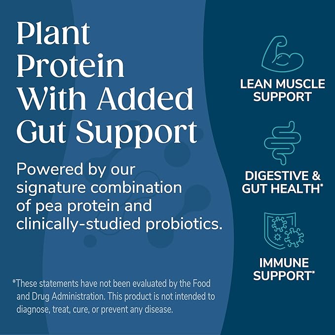 Wonderslim Protein Chips with Probiotics, Variety Pack | 12g Plant Protein, 170 Cal | High Protein Chips, Vegan, Gluten Free, Non-GMO | Made with Avocado Oil, No Seed Oils | 12 Pack