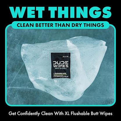 DUDE Wipes - On-The-Go Flushable Wipes - 4 Pack, 60 Count - Mint Chill Extra-Large Individually Wrapped Adult - with Eucalyptus & Tea Tree Oil - Septic and Sewer Safe