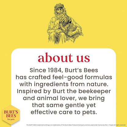 Burt's Bees for Pets Kitten Grooming Wipes with Buttermilk and Honey, Waterless Cat Bath Wipes for Face, Paws, Tail and Coat Cleaning, Gentle Bath Alternative for Indoor Felines, 50 Count - 6 Pack