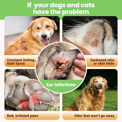 Yeast Infection Treatment for Dogs & Cats-Natural Fast Relief Drop for Itchy Skin, Ears & Paws Redness -Supports Allergy, Inflammation & Immune Health,2 fl oz Salmon Flavor (1 Pack)