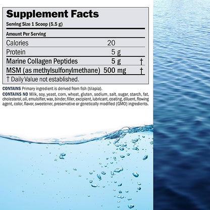 ANDREW LESSMAN Marine Collagen Peptides Powder and MSM 120 Servings - Supports Radiant Smooth Soft Skin, Comfortable Joints. Pure. Super Soluble No Fishy Flavor No Additives Non-GMO