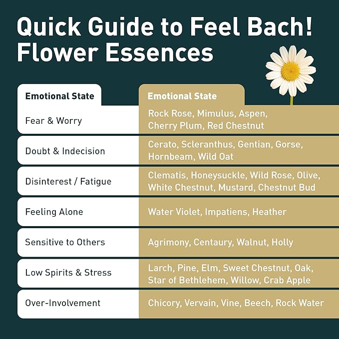 Feel Bach! Thunder Storms Remedy - Natural Homeopathic Flower Essences to Alleviate Pet Fears to Noise, Fireworks, Storms, & Booms - Vegan, Gluten & Sugar-Free, Non-Habit Forming, 20ml (0.7 fl oz)