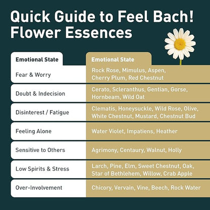Feel Bach! Thunder Storms Remedy - Natural Homeopathic Flower Essences to Alleviate Pet Fears to Noise, Fireworks, Storms, & Booms - Vegan, Gluten & Sugar-Free, Non-Habit Forming, 20ml (0.7 fl oz)