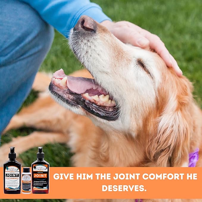TRIXSYN Canine - Dog Hip and Joint Supplement - Liquid Hyaluronic Acid HA for Dog - Patented Liquid Formula for Senior Dogs - MHB3 Hylauronan - 6 fl oz (2)