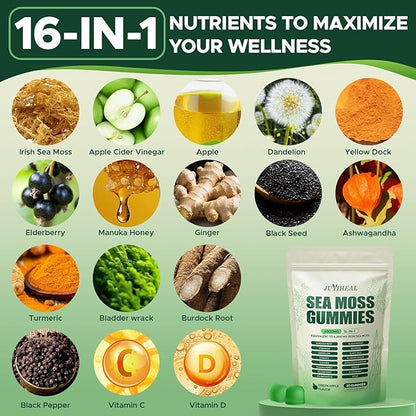 16 in 1 Sea Moss Gummies with Ashwagandha Black Seed Oil Bladder Wrack Turmeric Vitamin C & D3 with Manuka Burdock Root, Irish Sea Moss Gummies for Women & Men, Vegan Green Apple, 2 Pack