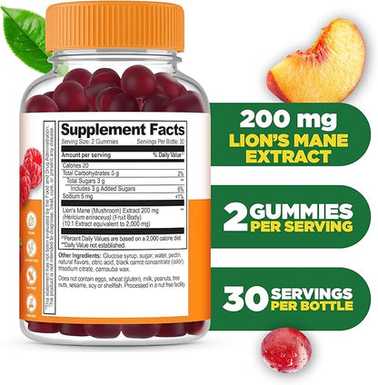 Lifeable Lions Mane Gummies for Adults | Great Tasting Lions Mane Mushroom Extract | Vegan, Kosher, Non-GMO Mushroom Gummies | Brain Support Supplement | 60 Count