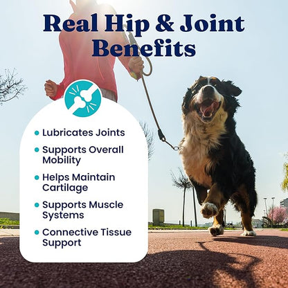 Solid Gold Hip and Joint Supplement for Dogs - Glucosamine Chondroitin MSM for Advanced Joint & Mobility Support - Omega 3 Fish Oil Antioxidant & Immune Health Support
