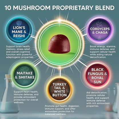 aSquared Nutrition Mushroom Gummies - 10x Complex Supplement - Lions Mane, Turkey Tail, Reishi, Cordyceps, Chaga - Energy, Focus, Immune Support for Men & Women - Replace Powder, Capsules & Pills