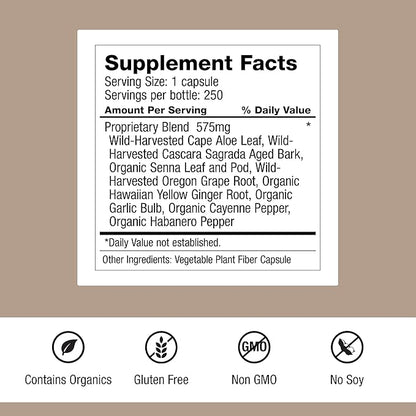 Dr. Schulze's Intestinal Formula #1 - Bowel Movement Supplement for Colon Health Support - Bloating & Constipation Aid - Intestinal Cleanse - All-Natural - Plant-Based - Vegan - 250 Count - 2 Pack