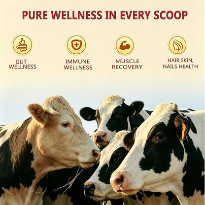 Core Bovine Colostrum Gummies, 1g Per Serving Grass Fed Colostrum Chews Colostrum Supplement for Gut Health, Hair Growth, Beauty, and Immune Support, Strawberry Flavor 60 Servings
