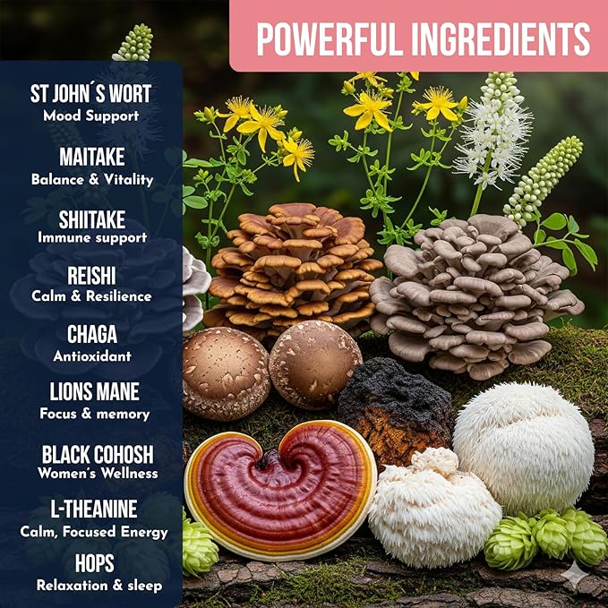 Mushroom Coffee for Women by Ylva Blends – Instant Mushroom Coffee for Hormone Balance, Perimenopause & Menopause – 36 Servings – Low Caffeine with 5 Adaptogens, Black Cohosh & L-Theanine