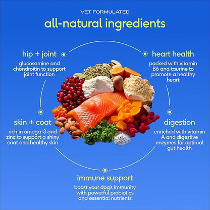 Native Pet The Daily Dog Vitamins & Supplements - 11-in-1 Multivitamin Powder for Dogs - Supports Whole Body Health, Digestion, Mobility & Immunity with Collagen, Glucosamine & Probiotics –120 Scoops