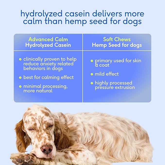 Native Pet Advanced Calming Chews for Dogs Large Breed - Anxiety Relief, Stress, Separation & Sleep Support with Melatonin for Dogs, Hydrolyzed Casein, Valerian Root & L-Tryptophan - 30 Days Supply
