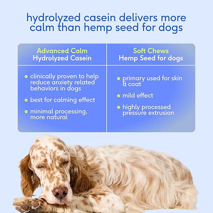 Native Pet Advanced Calming Chews for Dogs Medium Breed - Anxiety Relief, Stress, Separation & Sleep Support with Melatonin for Dogs, Hydrolyzed Casein, Valerian Root & L-Tryptophan - 30 Days Supply