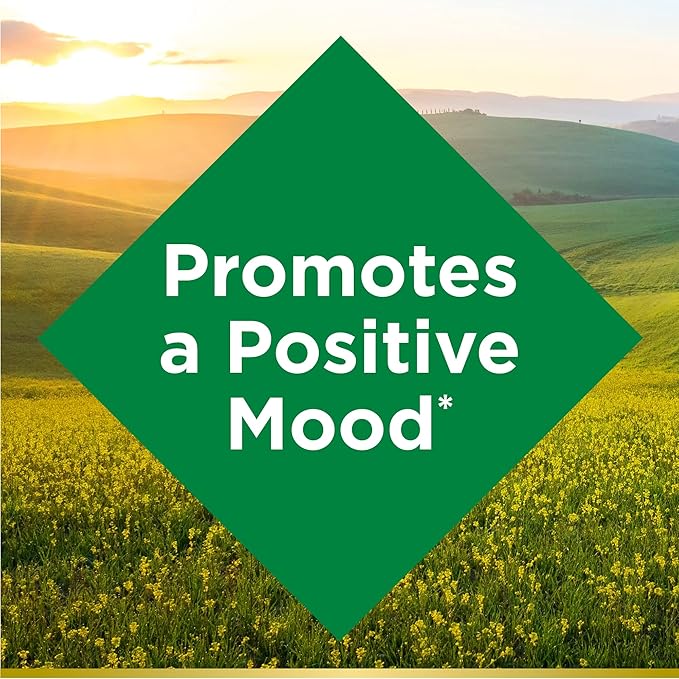 Nature's Bounty St. John’s Wort 300mg Capsules, Herbal Health Supplement, Promotes a Positive Mood, 100 Capsules (Pack of 3)