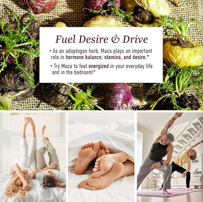 Maca Root Gummies with Natural Peach Flavor | Drive, Performance & Energy Support | Hormone Balance for Women and Men | Vegetarian, Non-GMO | 60 Gummies