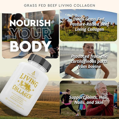 Ancestral Supplements Grass Fed Beef Living Collagen Nutritional Powder Supplement, 3000mg, Promotes Healthier, Younger Looking Skin, Hair, Nails and Joints, Type II, 180 Capsules