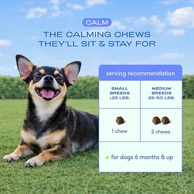 Native Pet Calming Chews for Dogs Medium Breed - Promotes Calming Effect, Supports Emotional Balance & Reduces Hyperactivity - Hemp Seed, Melatonin for Dogs, L-Theanine & Casein - 30 Days Supply