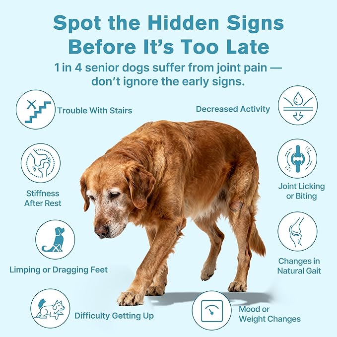 Hip & Joint Senior Dog Supplement–Advanced Glucosamine Chondroitin for Dogs with MSM, Green Lipped Mussel,and Omega-3 – Supports Mobility and Reduces Joint Pain for Senior Dogs(120ct Chewable Tablets)