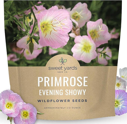 Primrose Evening Showy - Large 1/2 Ounce Packet - 100,000 Flower Seeds for Planting - Oenothera speciosa