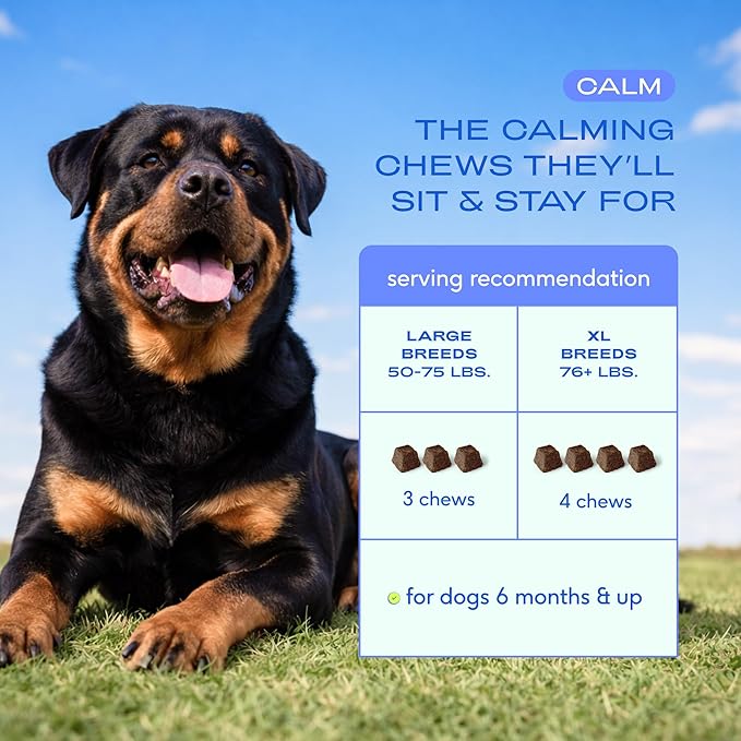Native Pet Calming Chews for Dogs XL Breed - Promotes Calming Effect, Supports Emotional Balance & Reduces Hyperactivity - Hemp Seed, Melatonin for Dogs, L-Theanine & Casein - 30 Days Supply
