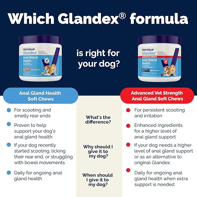 Vetnique Glandex Anal Gland Soft Chew Treats with Pumpkin for Dogs Digestive Enzymes, Probiotics Fiber Supplement for Dogs Boot the Scoot (30ct, Peanut Butter Chews)