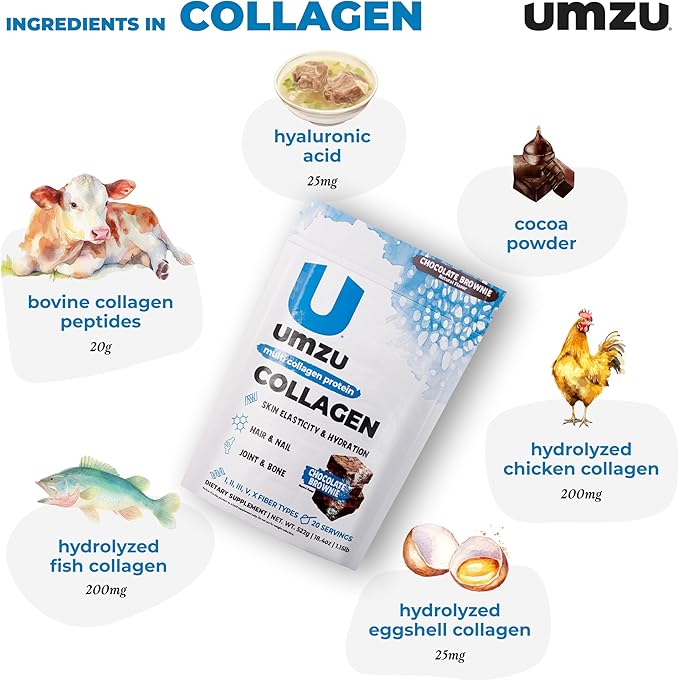 UMZU zuCollagen Multi Collagen Protein Powder, Chocolate – 5 Collagen Types I II III V X – High Protein Low Calorie Supplement for Hair Growth Skin Elasticity Joint Health and Daily Recovery Support