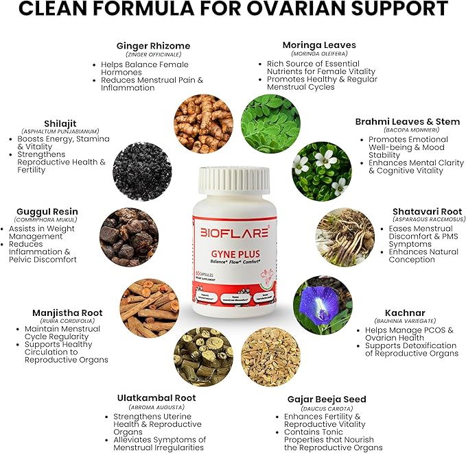 GYNEPLUS Menstrual Relief Capsules, Natural Period Pain Relief, Hormone Balance & Ovarian Support, Regulate Menstrual Cycle, Ease Cramps, Hormonal Balance Supplement for Women, 60 Capsules