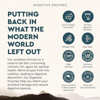 Ancestral Supplements Digestive Enzymes for Women & Men, 90 Capsules, with Probiotics and Grass Fed Beef Organs, Supports Gut Health, Digestive Health & Nutrient Absorption, Allergen Free, Non GMO