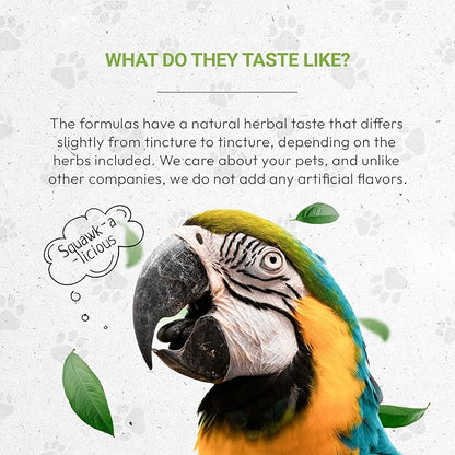 Birds Anxiety | Natural Herbal Dietary Pet Supplement for Birds | Support Stress Relief | Alcohol-Free Extract, Chamomile, Lemon Balm, Lavender, Linden, Fennel 2 oz