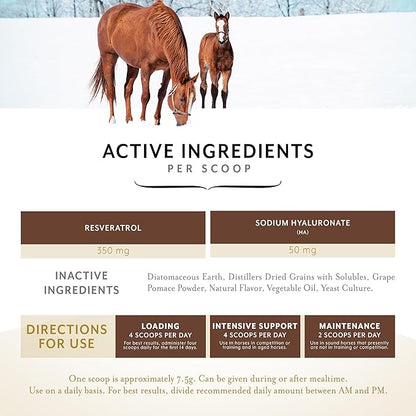 Equithrive Original Joint Supplement Powder with Resveratrol and Hyaluronic Acid for Horses, Equine Care, Molasses Flavor, 2 lbs