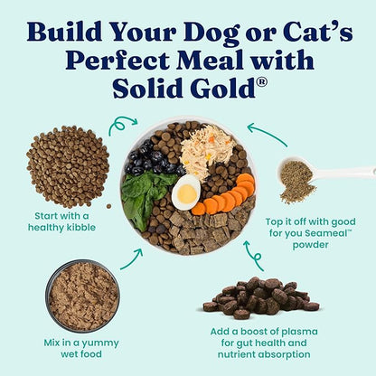 Solid Gold Cat & Dog Multivitamin Powder - Kelp Powder, Omega 3 & Vitamins for Dental, Digestive, Immune, Skin & Coat Health - Multi Vitamin for Dogs & Cats - Cat & Dog Food Additive Supplement - 5lb