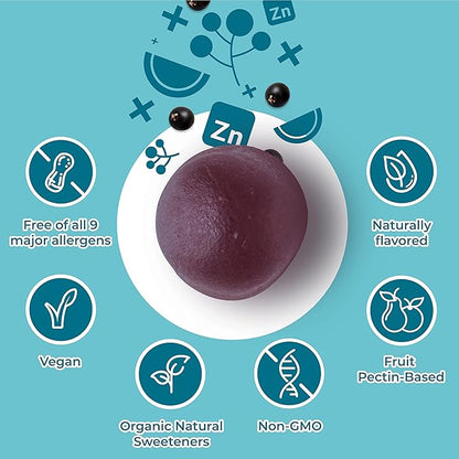 Hyland's Kids Organic Elderberry Plus Gummies, Organic Black Elderberry with ZINC and Vitamin C, Immune Support for Children, 48 Vegan Gummies