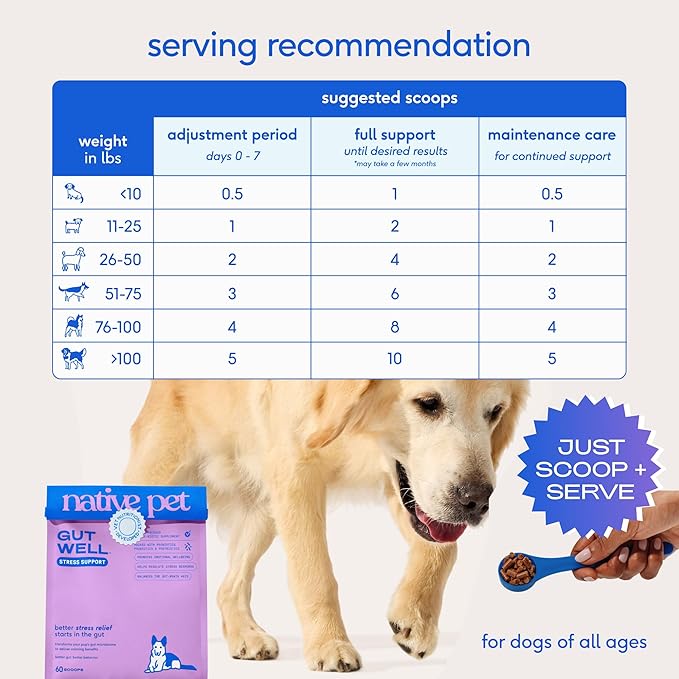 Native Pet GutWell Stress Support - Dog Anxiety Relief & Calming Supplement - Promotes Emotional Wellbeing, Regulates Stress Response & Balances Gut-Brain Axis - Triple-Biotic & Magnesium - 60 Scoops