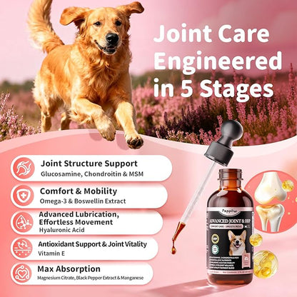 Joint Supplement for Dogs - 10 in 1 Hip and Joint Supplement Drops with Hyaluronic Acid, Liquid Glucosamine for Dogs with Chondroitin, MSM & Omega 3-2 FL.Oz - for All Breeds & Sizes