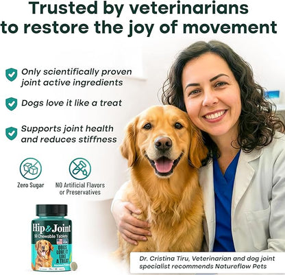 Natureflow Hip & Joint Supplement for Dogs, 300mg Green-Lipped Mussel for Dog Arthritis Pain Relief, Glucosamine, MSM & Chondroitin, Zero Sugar, Large Medium Small Breeds, 100 Chewable Tablets