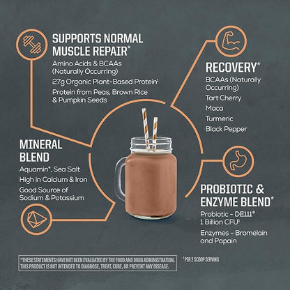 Sunwarrior Organic Plant Based Protein Powder | Vegan Organic Protein Powder with BCAAs Plus Recovery Minerals & Botanicals | Non-GMO Soy Dairy & Gluten Free (Chocolate Peanut Butter, 20 Servings)